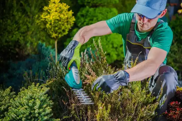 landscaping services Mentor
